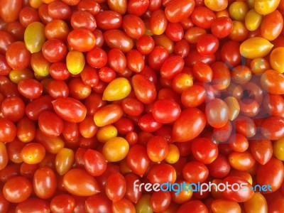 Cherry Tomatoes Stock Photo