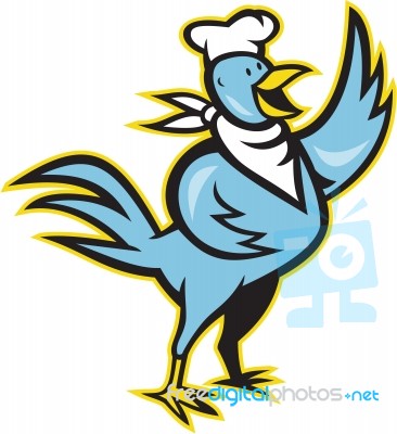 Chicken Chef Cook Standing Waving Wing Stock Image