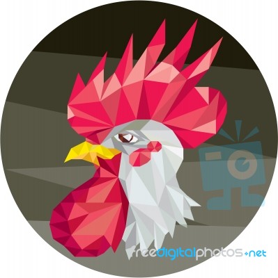 Chicken Rooster Head Side Low Polygon Stock Image