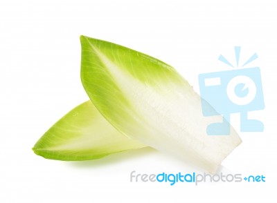 Chicory Isolated On A White Background Stock Photo