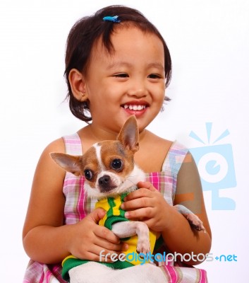 Child Holding Her Pet Chihuahua Stock Photo