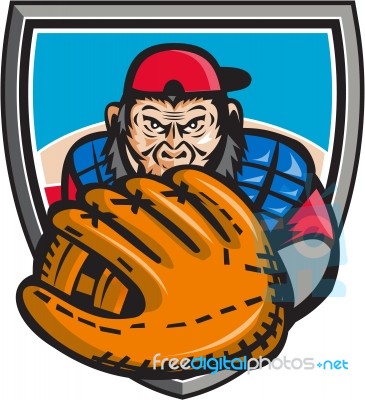 Chimpanzee Baseball Catcher Glove Shield Retro Stock Image