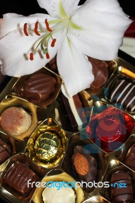 Chocolate Heaven Stock Photo