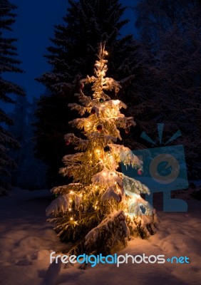 Christmastree Stock Photo