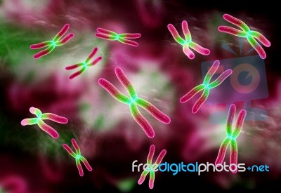 Chromosome Stock Image