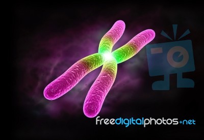 Chromosome Stock Image