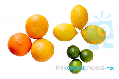 Citrus Fruits Stock Photo