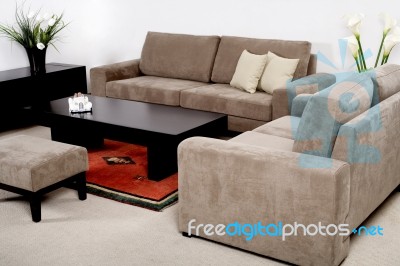 Classic Furniture In A Modern Living Room Stock Photo