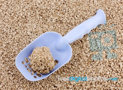 Cleaning Litter Box. Plastic Shovel With Clumping Lump On A Back… Stock Photo