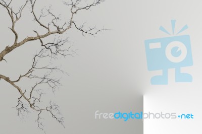 Clip-art Of Dead And Dry Tree Stock Image