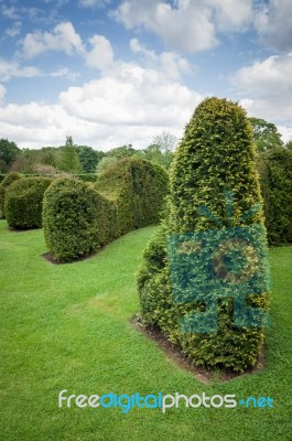 Clipped Hedge-topiary-trimmed Hedge Stock Photo