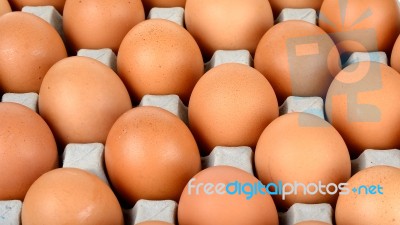 Close Up Egg In Packet Background Texture Stock Photo