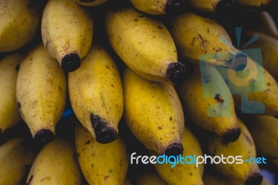 Close Up Mini Bananas Stock Photo Close Up Mini Bananas Stock Photo