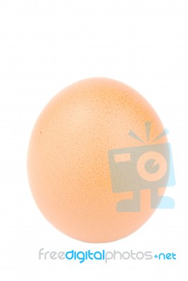 Close-up Of A Egg On White Stock Photo