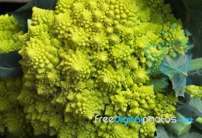 Close Up Of Beautiful Typical Roman Broccoli Stock Photo