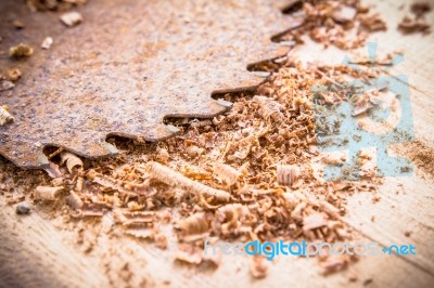 Close Up Of Circular Saw And Saw Dust Stock Photo Close Up Of Circular Saw And Saw Dust Stock Photo