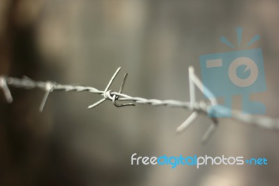 Close Up Of Iron Barbed Wire Stock Photo