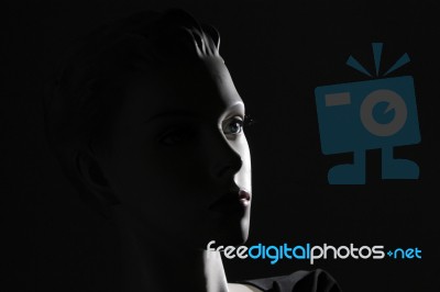 Close Up On A Woman's Doll - Mannequin Stock Photo