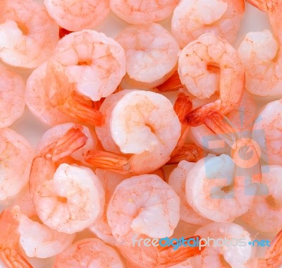 Close Up Shrimps Background With A Group Stock Photo Close Up Shrimps Background With A Group Stock Photo