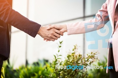 Closeup Friendly Meeting Handshake Between Business Woman And  B… Stock Photo