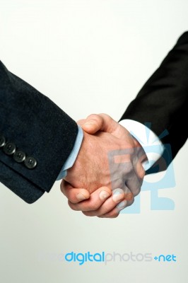 Closeup Of A Business Handshake Stock Photo