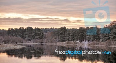 Cloudy Autumn Dawn. First Snow On The Autumn River. Spruce Trees… Stock Photo