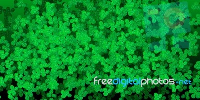 Clover Background Stock Image
