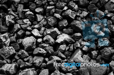 Coals Stock Photo