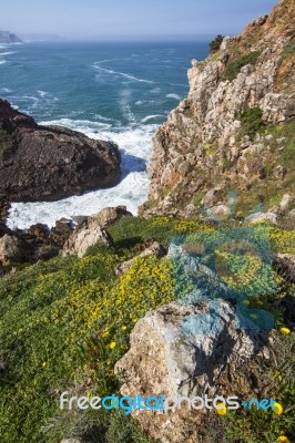 Coastal Algarve Region Stock Photo