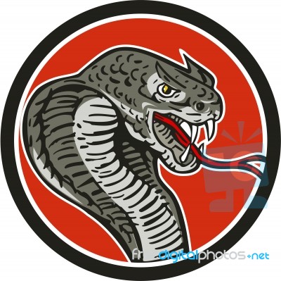 Cobra Viper Snake Circle Retro Stock Image