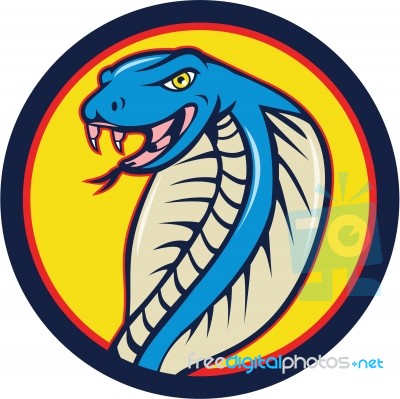 Cobra Viper Snake Head Attacking Circle Cartoon Stock Image Cobra Viper Snake Head Attacking Circle Cartoon Stock Image
