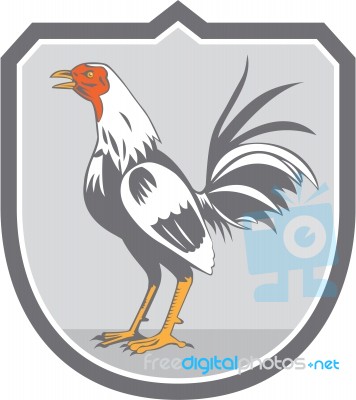 Cockerel Rooster Standing Shield Retro Stock Image