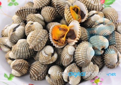 Cockles Stock Photo