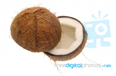 Coconut Halves Stock Photo