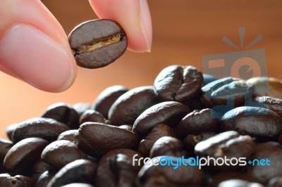 Coffee Beans Stock Photo