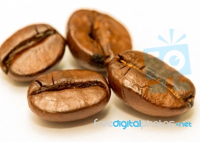 Coffee Beans Fresh Shows Hot Drink And Brown Stock Photo