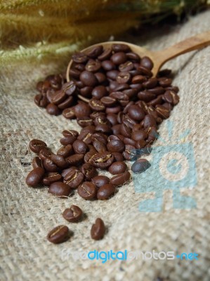 Coffee Beans In Wooden Spoon On Sackcloth Stock Photo