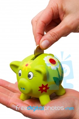 Coin In A Piggy Bank Stock Photo