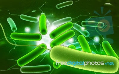 Coli Bacteria Stock Image