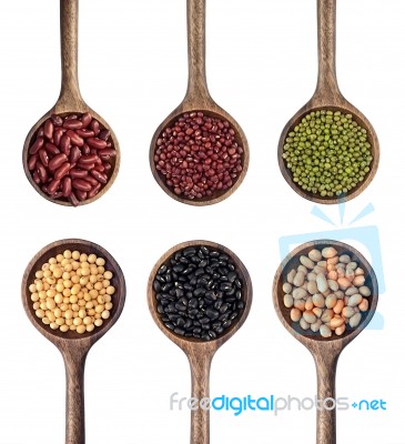 Collection Of Beans In The Wooden Spoon Stock Photo