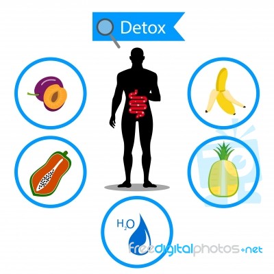 Colon Symbol On Fruit And Water With Human Body. Foods For Cleansing Your Colon Healthy Concept Stock Image