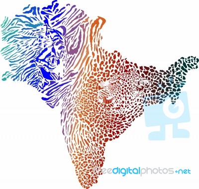 Color Map Of Indian Subcontinent With Tiger And Leopard Background Stock Image