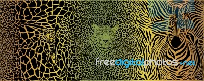 Color Pattern Background With Zebra, Leopard And Giraffe Stock Image