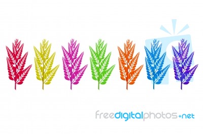 Colored Leaves Stock Image