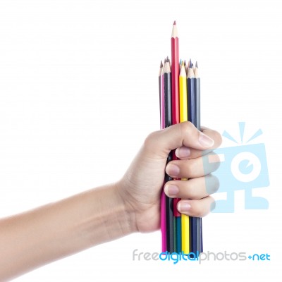 Colored Pencils In A Female Hand On A White Background  Stock Photo