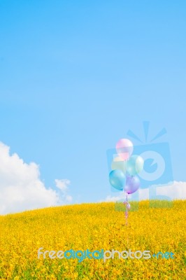 Colorful Balloon Over Yellow Flower Fields With Blue Sky Backgro… Stock Photo