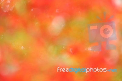 Colorful  Bokeh Blurred Lights Background Stock Photo