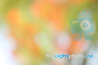 Colorful  Bokeh Blurred Lights Background Stock Photo