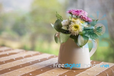 Colorful Flower In White Flower Pot Stock Photo