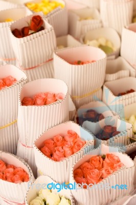 Colorful Flowers In Shop Stock Photo